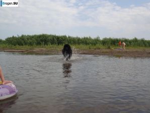 Рыжуха из Екатеринбурга на отдыхе и дома. Часть 3. Эскиз 16