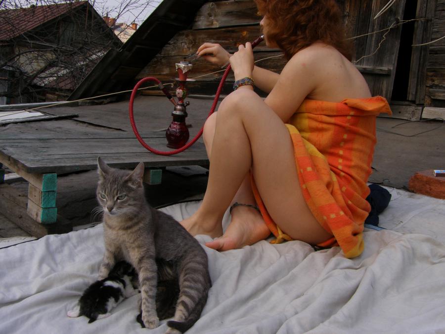 hookah. Slide 7