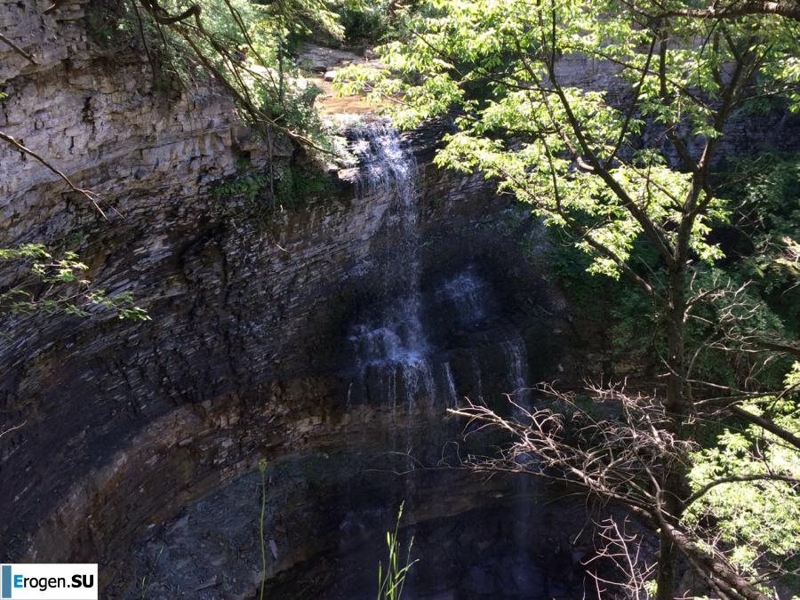 Itself. Photo 26