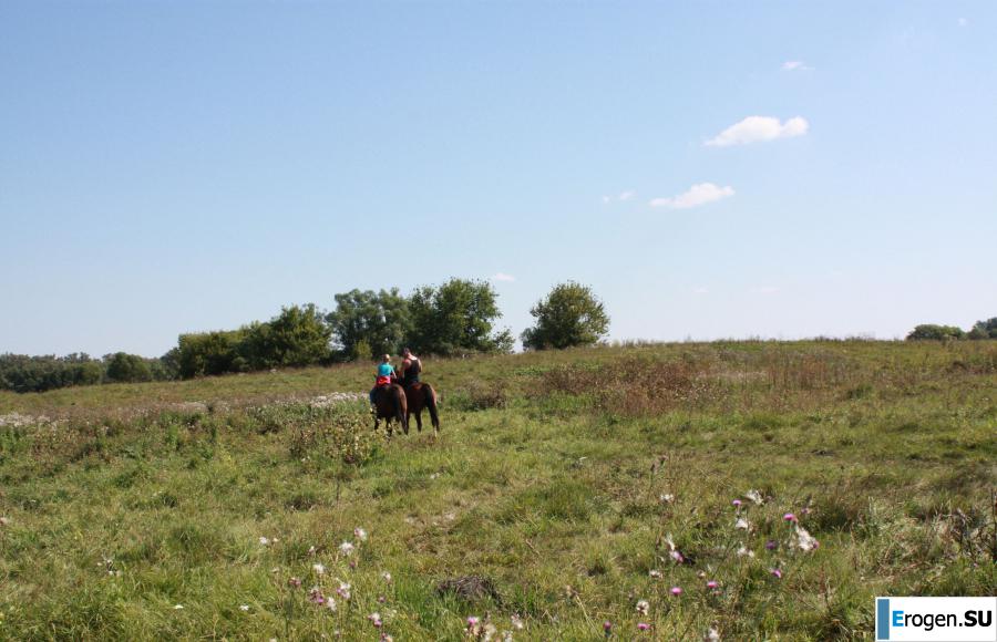 Rider. Photo 31
