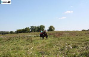 Rider. Thumb 30