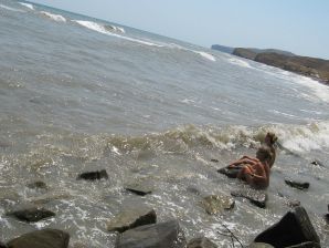 The girl undressed in the company of vacationers and showed an excellent figure. Thumb 52