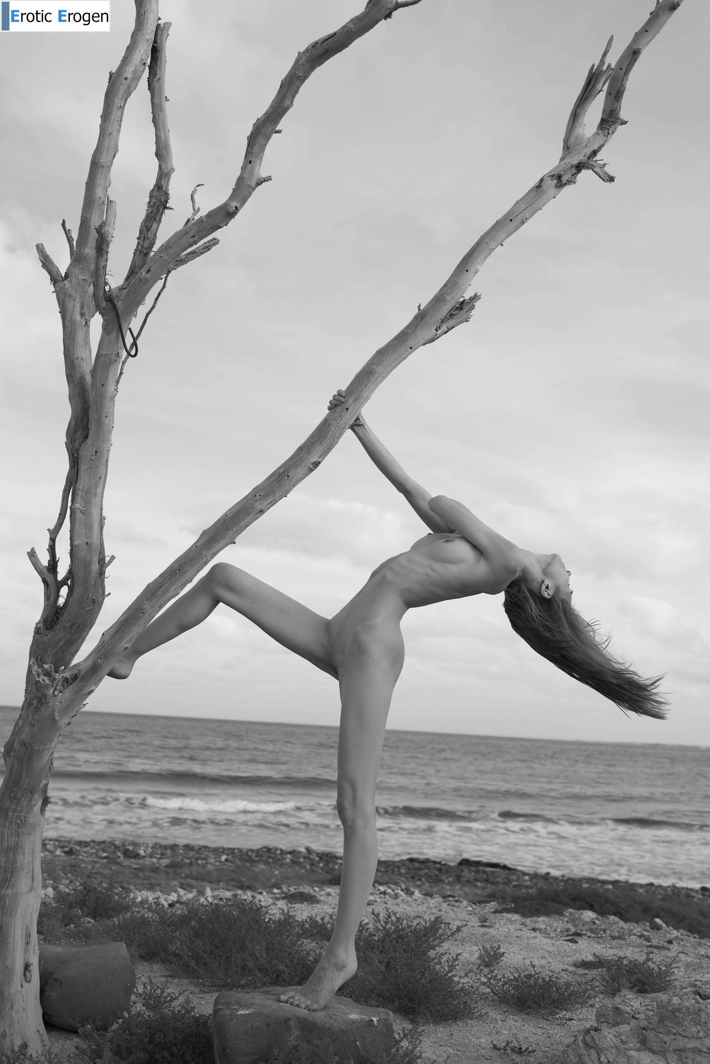 Proserpina in Joshua Tree. Picture 35