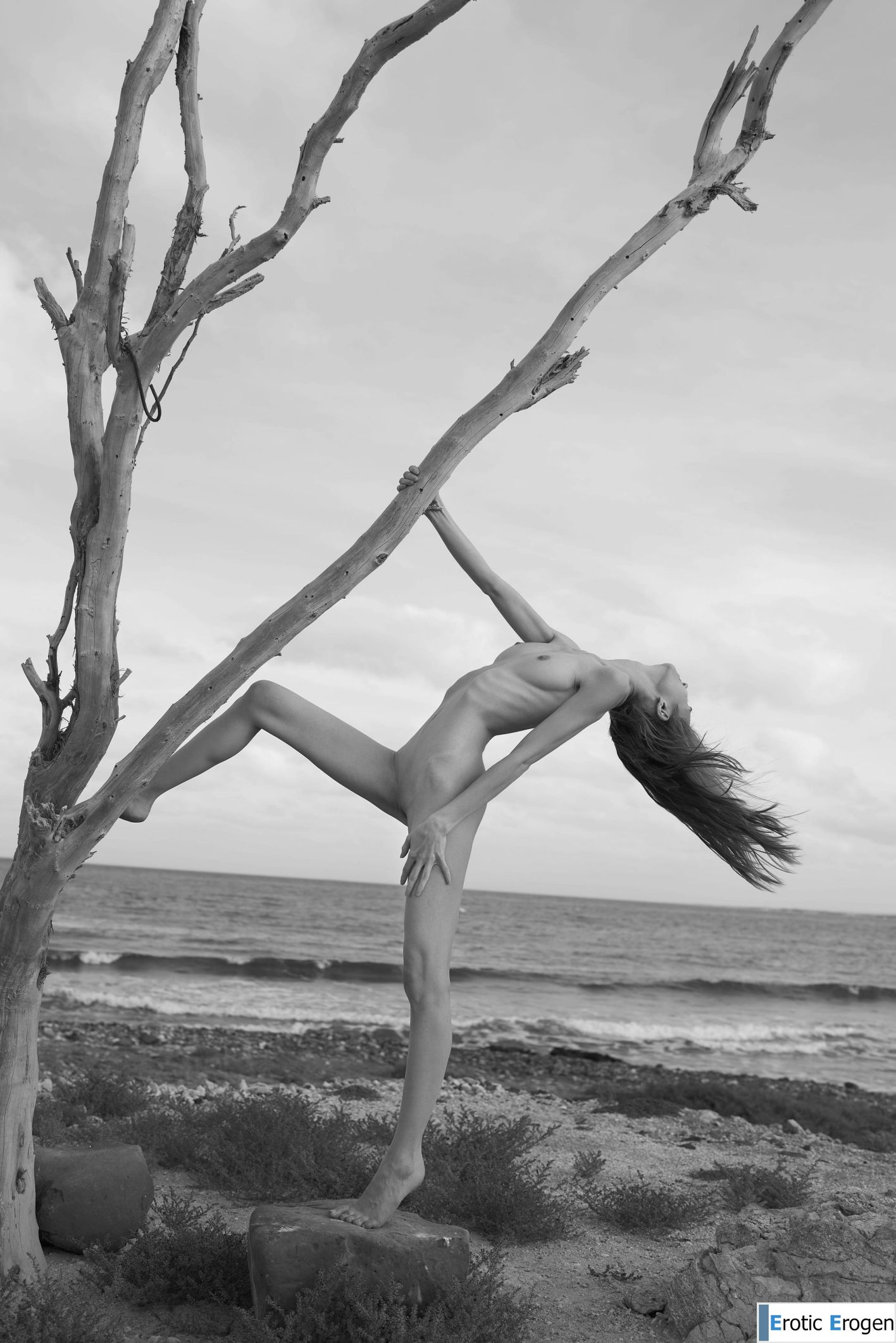 Proserpina in Joshua Tree. Picture 36