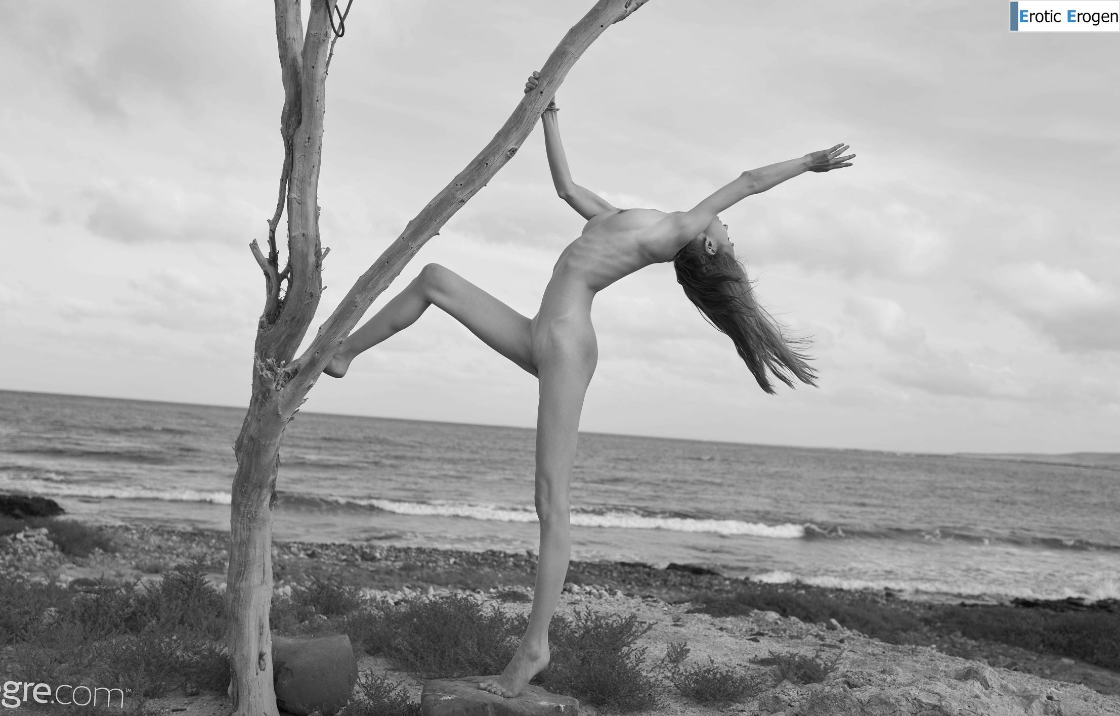 Proserpina in Joshua Tree. Picture 38