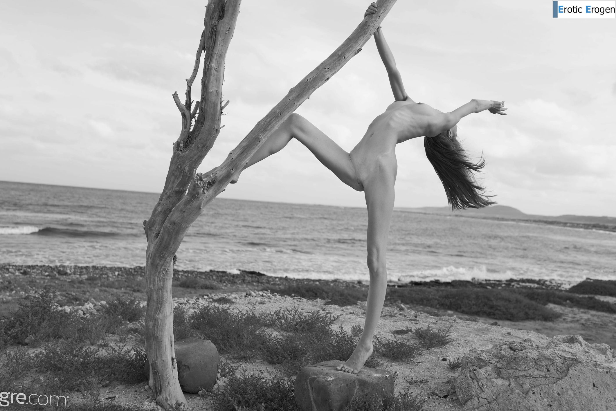 Proserpina in Joshua Tree. Picture 39