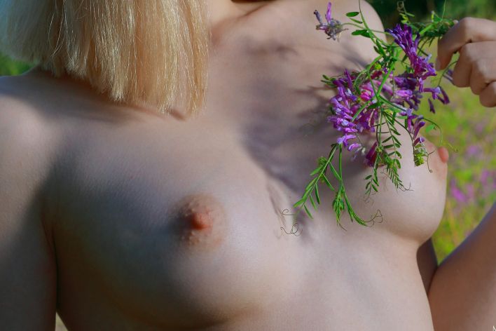 Una in Lilac Fields. Thumb 36